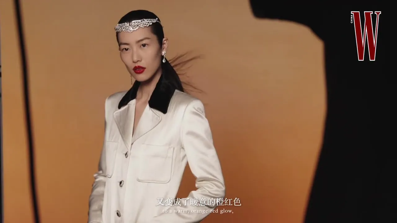 刘雯 · 黄金时刻